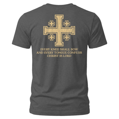 Shirt - Confess - Tee - The Reformed Sage - reformed - reformed_gifts - christian_gifts