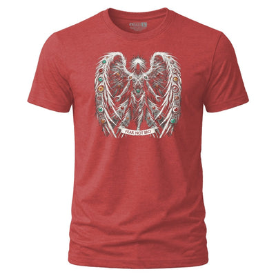Shirt - Fear Not Bro - Tee - The Reformed Sage - reformed - reformed_gifts - christian_gifts