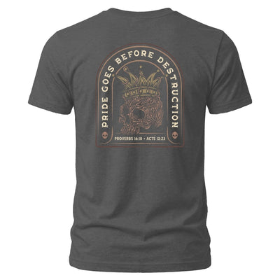 Shirt - Pride Goes Before Destruction - Tee - The Reformed Sage - reformed - reformed_gifts - christian_gifts