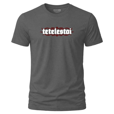 Shirt - Tetelestai - Tee - The Reformed Sage - reformed - reformed_gifts - christian_gifts